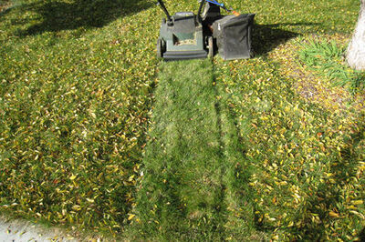 How to Enjoy Raking Leaves