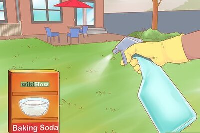 How to Keep Dogs off Your Lawn