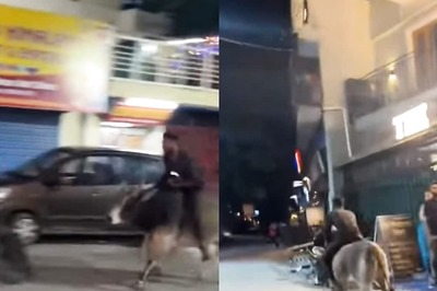 Viral Video Shows Man Riding Bull On The Streets of Rishikesh in Uttarakhand