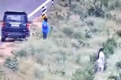 Caught on Camera: Couple Steals Plants Placed Alongside Delhi-Mumbai Expressway, Keeps Them in SUV