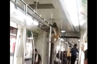 Video of Monkey Taking 'Ride' in Delhi Metro Train Goes Viral
