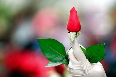 Who said Valentine's Day had to be expensive?