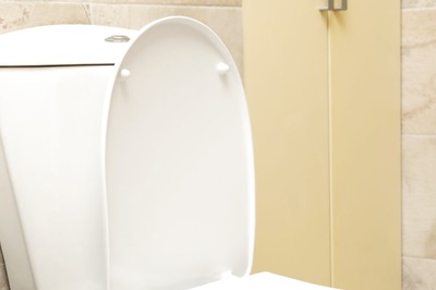 This Couple Finally Found Their Engagement Ring. It Was Stuck In Toilet Seat