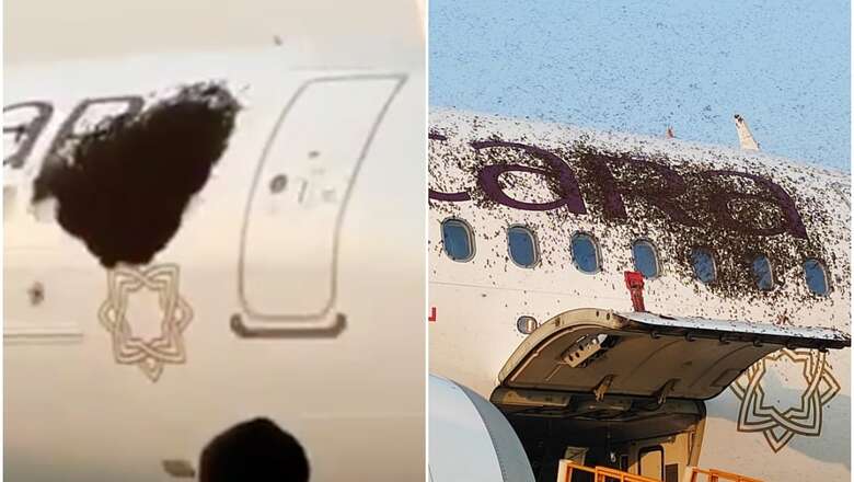 Cow Dung or Honey Pancakes? Swarm of Bees Stuck to Parked Flight Causes 'Buzz' in Kolkata Airport