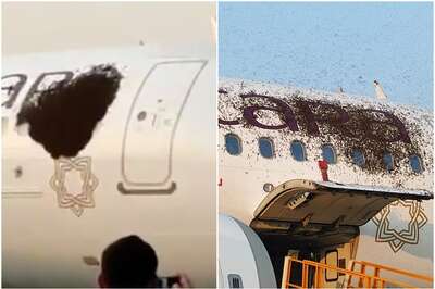 Cow Dung or Honey Pancakes? Swarm of Bees Stuck to Parked Flight Causes 'Buzz' in Kolkata Airport