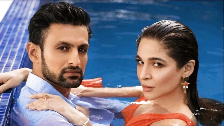 Amid Divorce Rumours, Shoaib Malik's Pictures with Pakistani Actress Ayesha Omar Go Viral