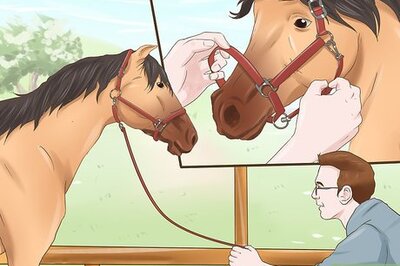 How to Bridle a Grumpy Horse
