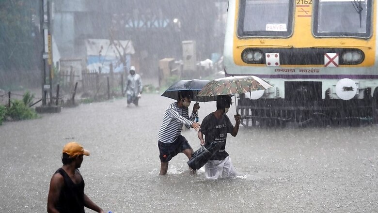 Amid Monsoon Woes, BMC Warns Mumbaikars of Spike in Leptospirosis Cases. Here's What it Means