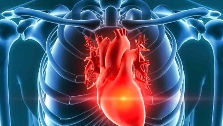 How To Increase Your HDL Level? Nutritionist Shares 4 Easy Methods