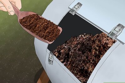 How to Use Coffee Grounds in Your Garden