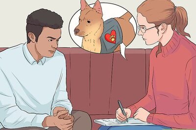 How to Register an Emotional Support Dog