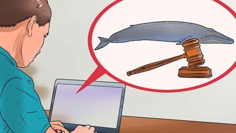 How to Help Stop Whaling