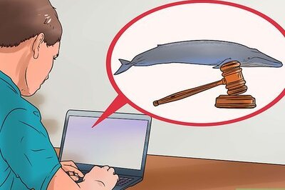 How to Help Stop Whaling