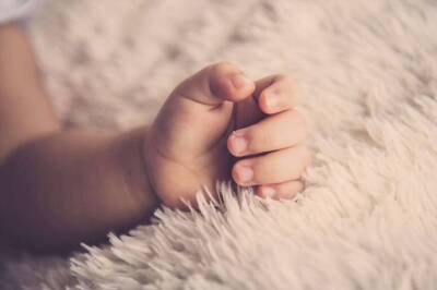 Artificial Womb For Super-Preemies Works With Sheep