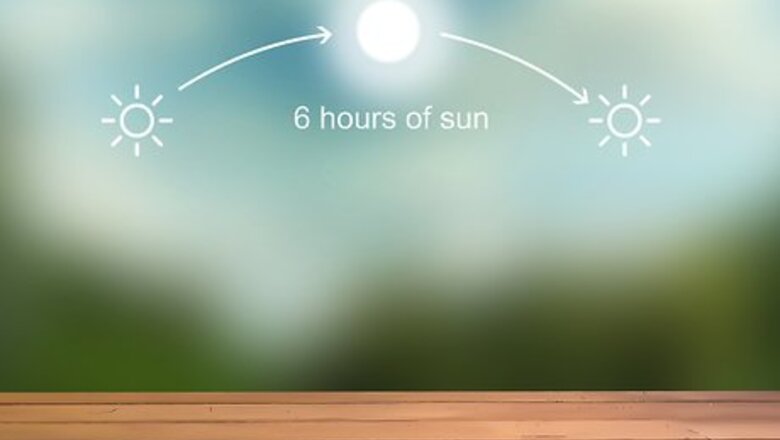 How to Grow Tiger Lilies