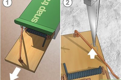 How to Kill Woodrats