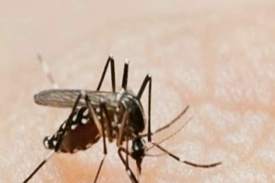 Dengue in Delhi: Two More Fatalities Confirmed, Toll Rises to 7; Over 4,300 Total Cases