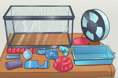 How to Clean Out a Hamster Cage