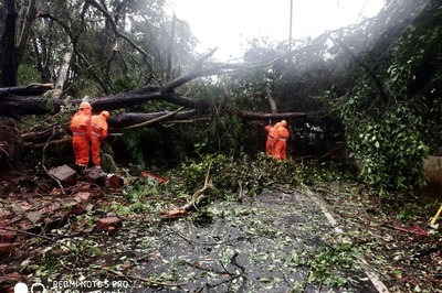 Cyclone Tauktae: Overnight Showers, High Speed Winds Lash Mumbai, Gujarat on Alert