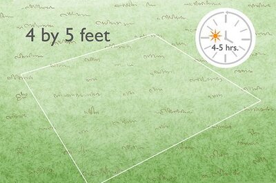 How to Create a No Dig Garden