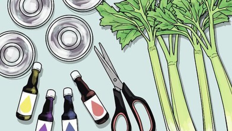 How to Change the Color of a Celery Stalk