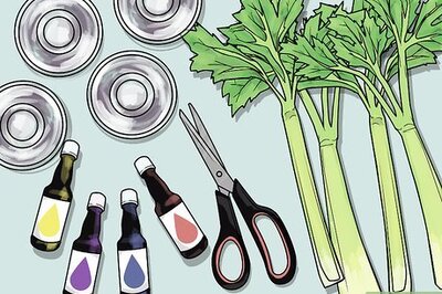 How to Change the Color of a Celery Stalk