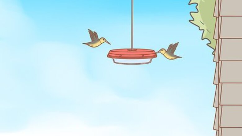 How to Hang a Hummingbird Feeder