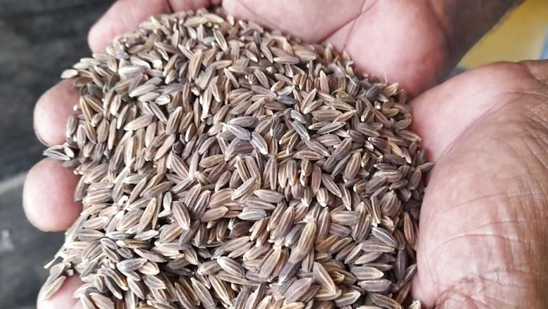 In Tamil Nadu's Thiruvarur, Farmer Cultivates Rice That's Believed To Fight Cancer
