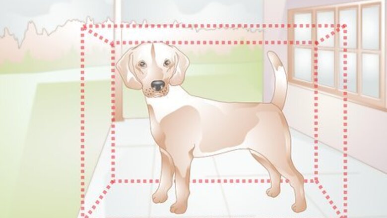 How to Build a Dog Box