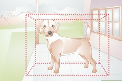 How to Build a Dog Box