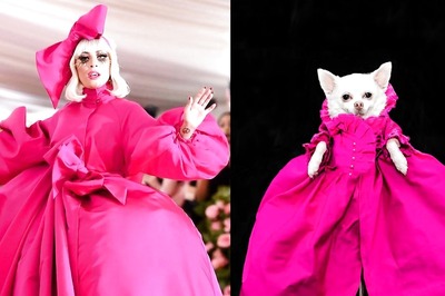 Throwback to When Pet Couturier Anthony Rubio Recreated Lady Gaga’s MET Gala 2019 Iconic Look