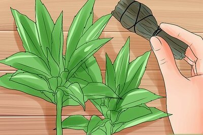 How to Smudge a House