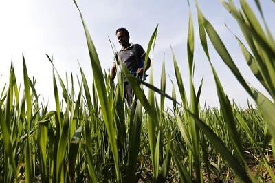 Paris, Four Other French Cities Ban Use of Pesticides