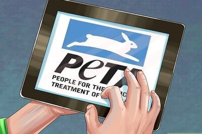 How to Avoid Buying and Using Animal Testing Brands