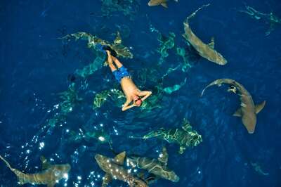 Top 5 Fun Activities You Can't Miss When In Maldives