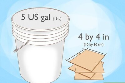 How to Grow King Oyster Mushrooms