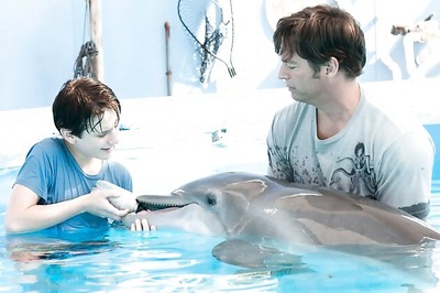 Dolphins 10 times stronger than human athletes: Study