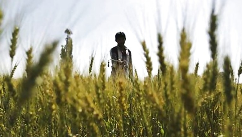 Farmer hangs self over crop loss;3 die of cardiac arrest in Uttar Pradesh