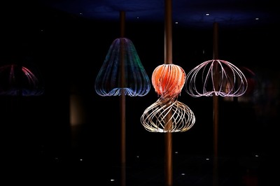 Art Central in Hong Kong to feature evolving installation, kinetic crystal