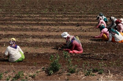 India Needs a Millet Revolution. A Public-Private Partnership Can Set it in Motion