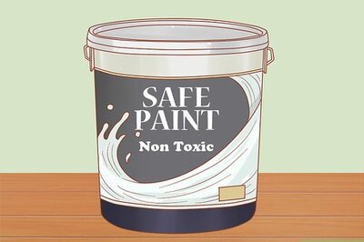 How to Paint on a Horse