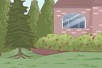 15 Ways to Keep Your Neighborhood Looking Its Best