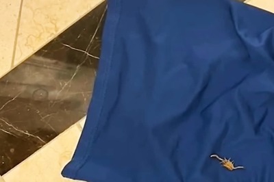 Las Vegas Hotel In Legal Trouble As Man Claims Scorpion Stung His Testicles In Sleep