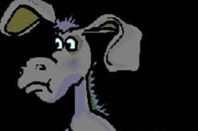 It's a donkey's life after all!