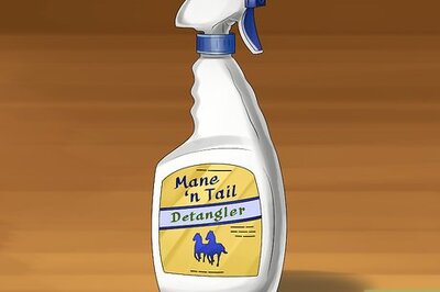 How to Brush the Mane of a Horse