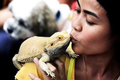 Pets Help Boost Health of Older People: Study