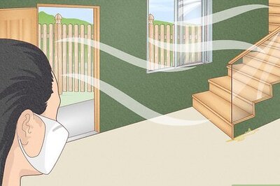 How to Remove Mouse Urine Smell, Plus Tips for Getting Rid of Mice for Good