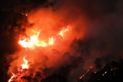 Uttarakhand Loses Over 1,240 Hectares of Land This Year as Forest Fires Wreak Havoc