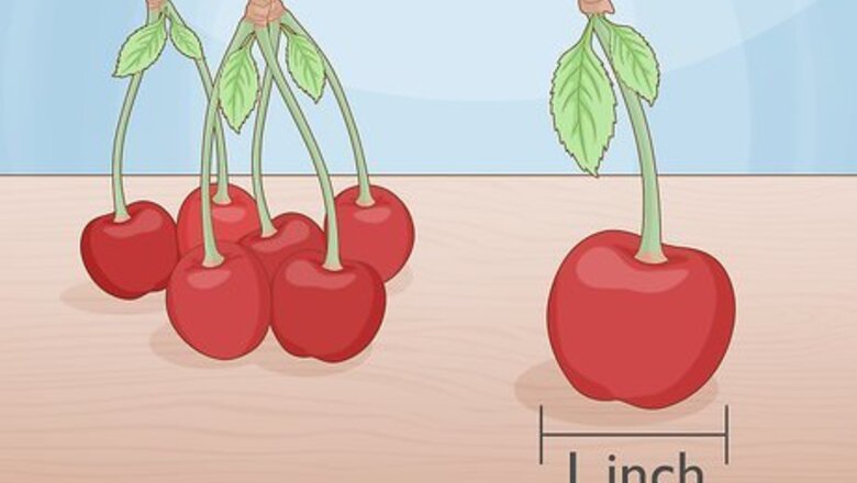 How to Pick Cherries