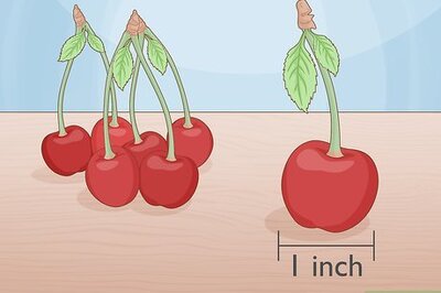 How to Pick Cherries